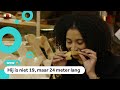 Dit is de grootste 'Nederlandse' vinvis ooit