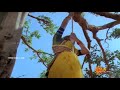 Pothi Vacha Malliga Mottu Video Song HD Ilayaraja Mann Vasanai Tamil Songs
