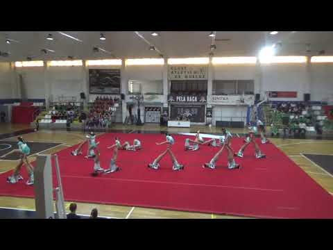 Guaxinis, CDESMT - II Sarau Origami '19