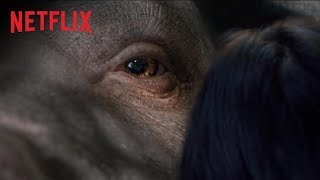 各国で大絶賛の嵐!『オクジャ/okja』特別映像コメント編