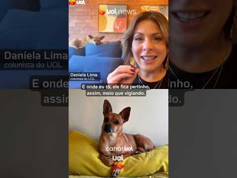 Caramelo do UOL News, Jorginho tira um cochilo e rouba a cena