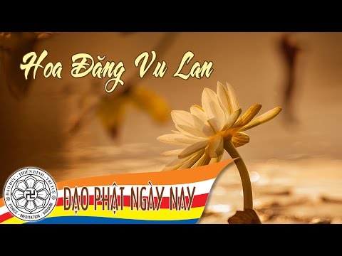 Hoa đăng Vu Lan