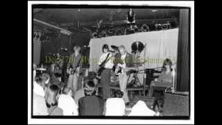 Drifting Down The Coast Tour 2013 Cracker and Camper Van Beethoven.