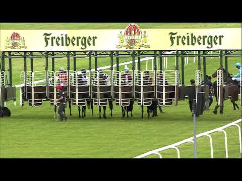 Galopprennbahn Dresden - 16.06.2019 - Rennen 1