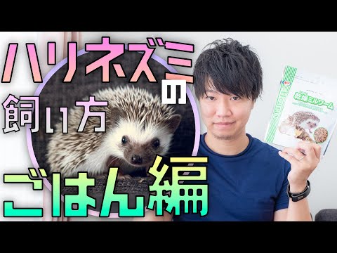 ハリネズミは野菜を食べますか？庭に誘引するにはどうすればよいですか？  庭園