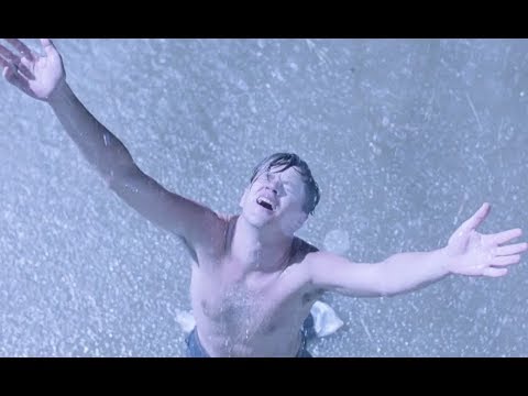 The Shawshank Redemption (1994) - 'Shawshank Redemption' / Escape Part 2 scene [1080p]