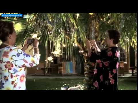 Trailer-Vorschau: O Palmenbaum