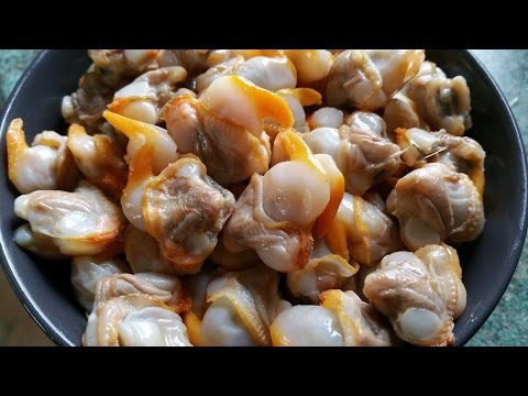 download lagu mp3 mp4 Buy Fresh Cockles, download lagu Buy Fresh Cockles gratis, unduh video klip Buy Fresh Cockles