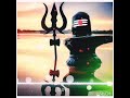 Mera Bhola Mast Malang Master Saleem Shiv Tandav Shiv Sankar Shiv Bhajan Status