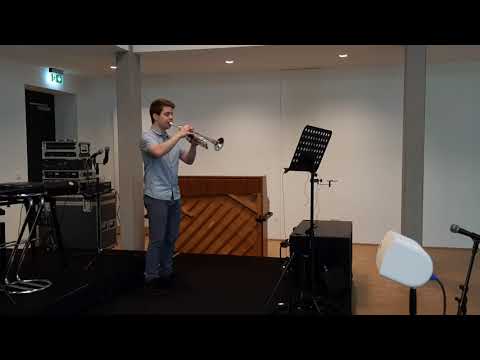 Francis Thomé: Fantaisie