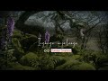 Kannodu Kangal Etrum Karpoora Deepame Song Whatsapp Status Gokulan Creations