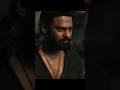 Salaar Sarkaru Raa Prabhas