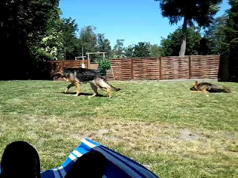 Marie-Claire Heinze Garten