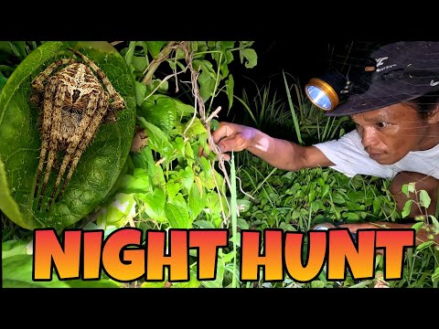 PANGHUHULI NG GAGAMBA SA GABI