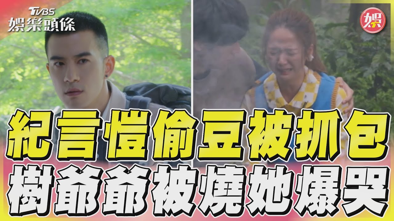 影音／紀言愷偷咖啡豆被抓包　樹爺爺被燒掉臧芮軒爆哭