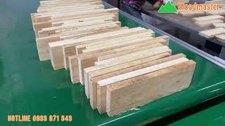 Video Dây Chuyền Bào Gỗ Thông Làm Ván Ghép Thanh 0933 671 343