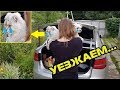 КОТ ПЛАЧЕТ! КЕВИН УЕЗЖАЕТ КОТ ПЛАЧЕТ! КЕВИН УЕЗЖАЕТ