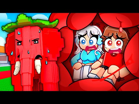 ROBLOX ENTER BRAINROT…