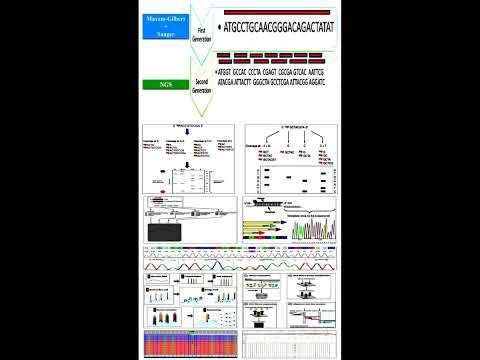Read Lengths of First and Second Generation Sequencing Methods  #geneticteacher