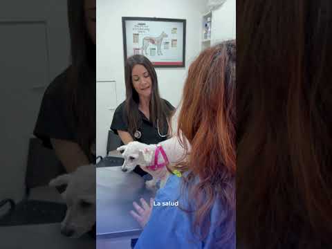 Video Producto