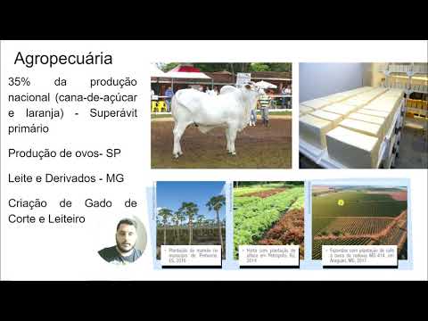 Região Sudeste   Aspectos Econômicos e Sociais