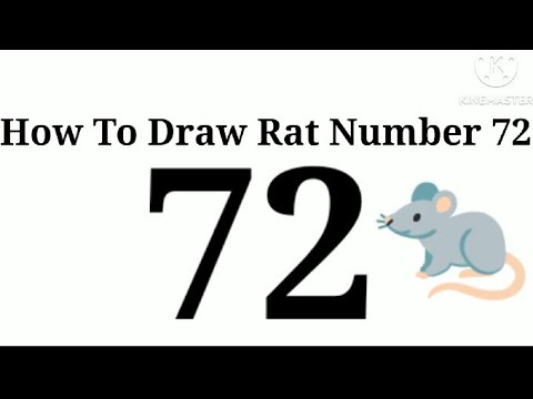 How To Draw Rat Number 72 Drawing