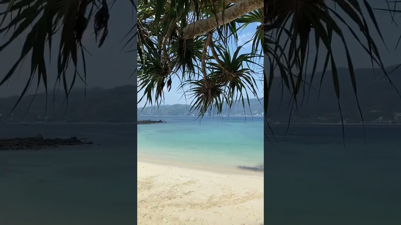 YouTube Short thumbnail