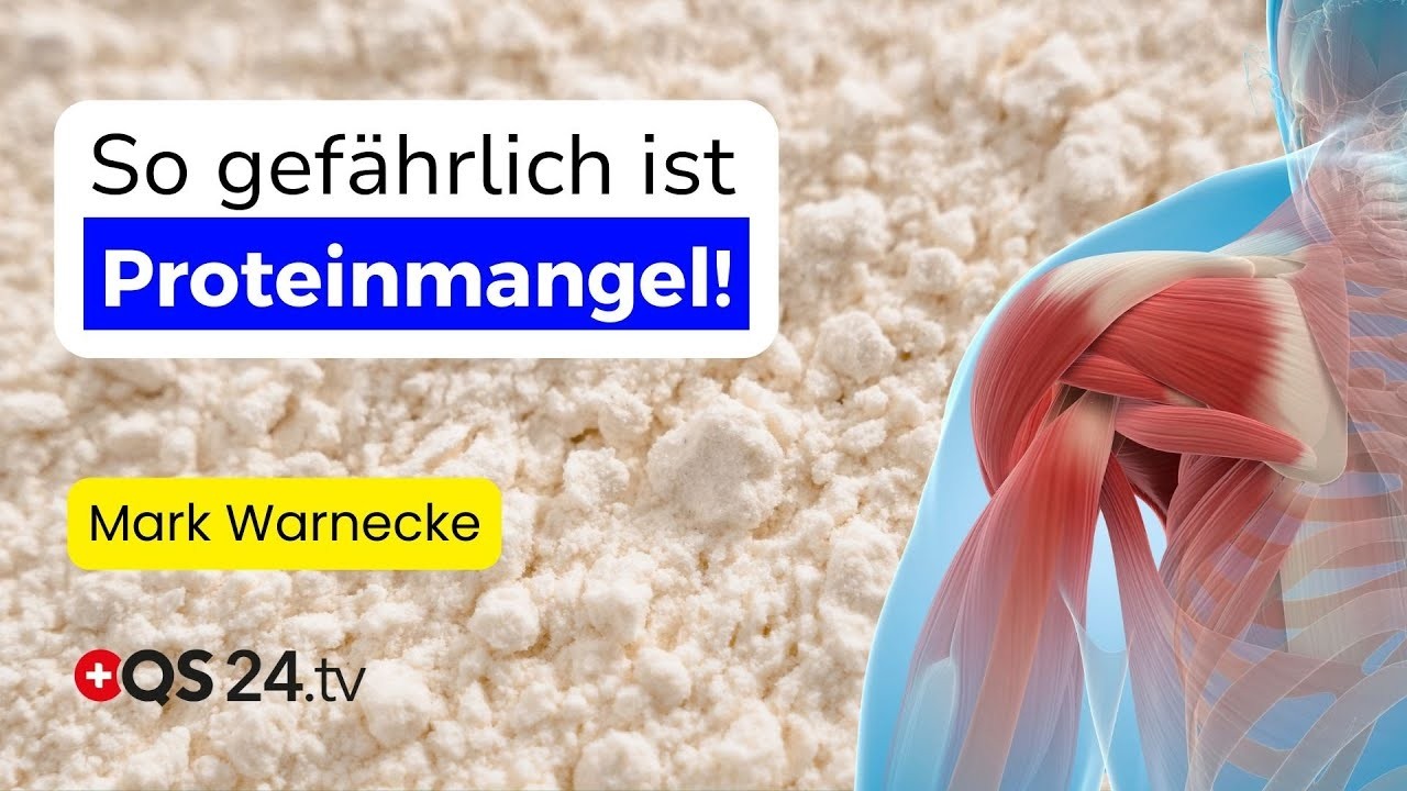 Bioaktive Peptide und Aminosäuren – warum ausreichendes Protein im Alter so wichtig ist | QS24