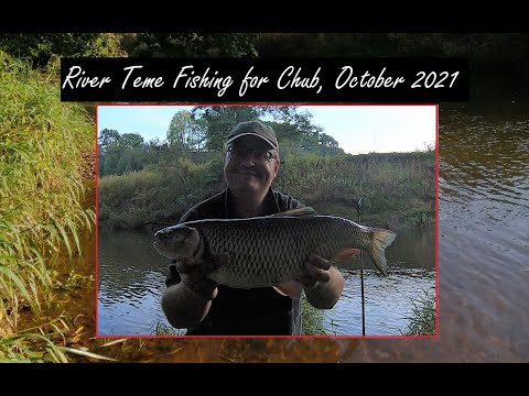 Fishing the River Teme for Chub and Grayling, October 2021