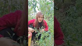 Download lagu masteran burung viral kocak bikin ngakak hiburan warga  62 fuunyvideos mp3 Download lagu masteran burung viral kocak bikin ngakak hiburan warga  62 fuunyvideos mp3