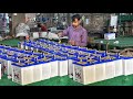 How Auto Rickshaw Battery Manufacturing In Local Factory
