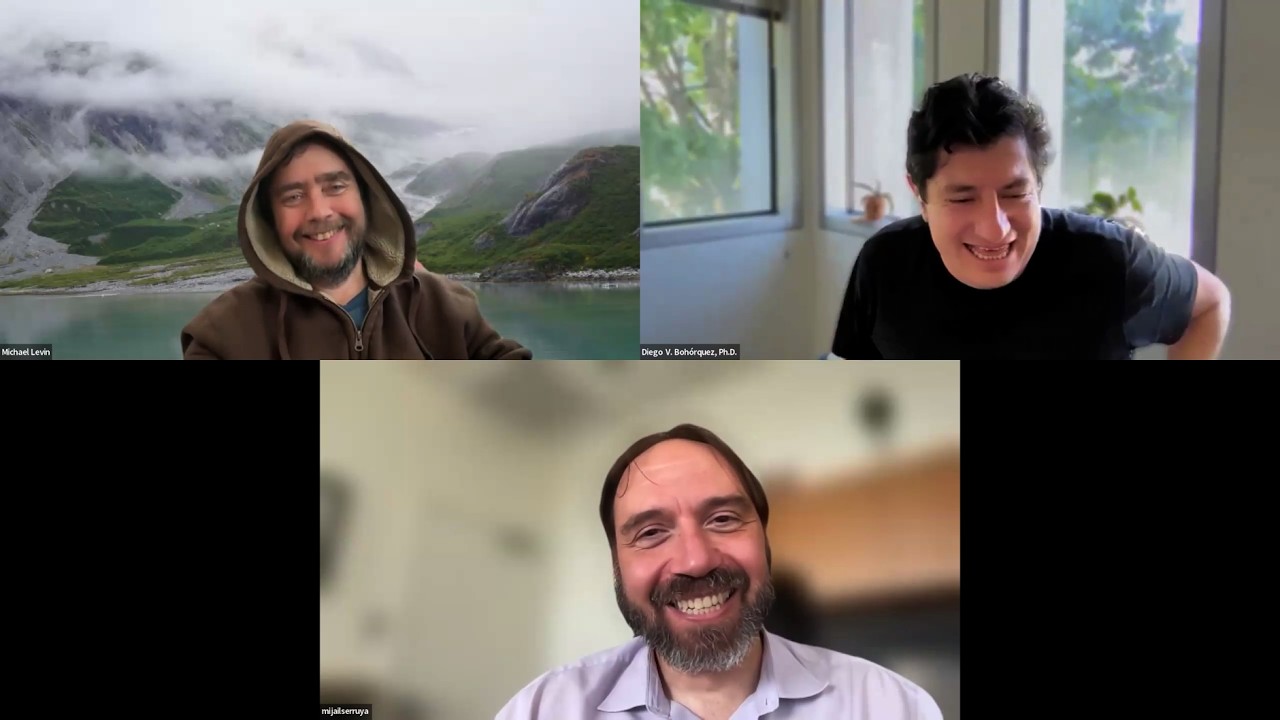 Conversation #1 with Diego Bohórquez and Mijail D. Serruya: how information moves levels in bodies
