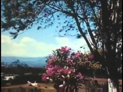Costa Rica 1947