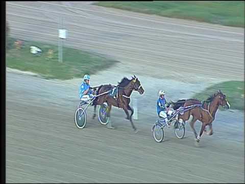 Trotto 25/09/2016 - prova di riqualifica