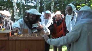 preview picture of video 'Praktická obsluha včelstev pro začátečníky'