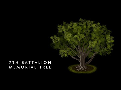 7th Battalion Memorial Tree