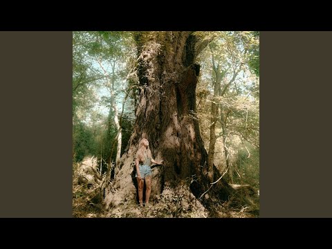 The Lovers Dance - Harley Hogue