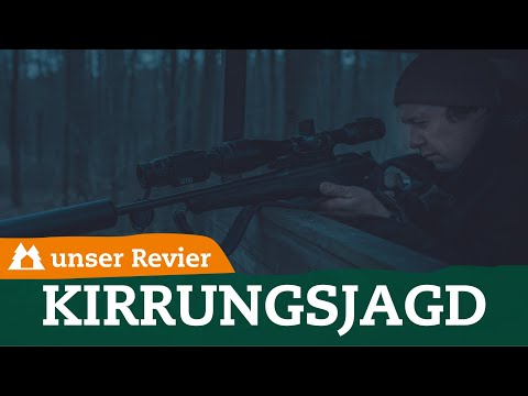 Warum Schwarzwild an der Kirrung jagen? | Vorteile und Nachteile der Kirrjagd | unser Revier | #81