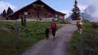 preview picture of video 'Hiking near Grutschalp, Switzerland'