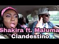 Shakira, Maluma - Clandestino (Audio) Reaction Shakira, Maluma - Clandestino (Audio) Reaction