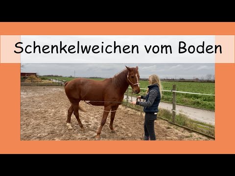 Gymnastizierende Arbeit vom Boden: Das Schenkelweichen