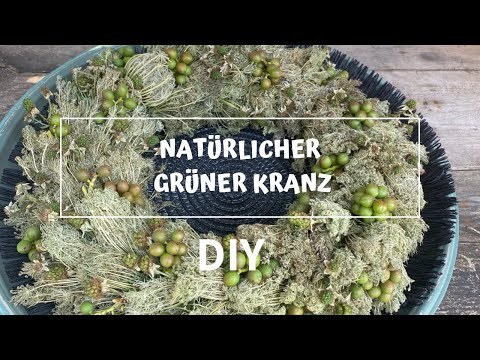 Kranz selber machen aus Wilder Möhre vom Wegesrand * DIY Kranz aus der Natur