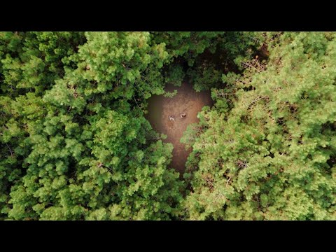 “TIERRA” // VIDEOCLIP // Carla Delgado & Jaguayano