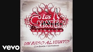 Los Cuates de Sinaloa - Un Beso Al Viento (Cover Audio)