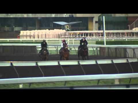 AJC George Main Stakes Interviews