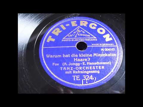 Tanz Orchester: Warum hat die Miezekatze Haare?