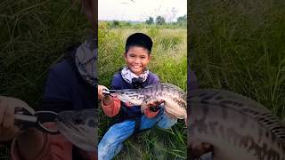 Download lagu Bocil Gabut Saat Casting... #ikantoman  #hasilmancing #viral mp3 Download lagu Bocil Gabut Saat Casting... #ikantoman  #hasilmancing #viral mp3