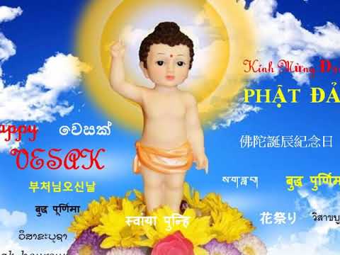 Đón mừng Đản Sanh Sheet - Hương Lan