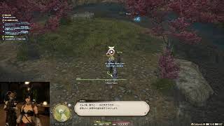 【FF14】のりたんのエオルゼアライフ!!【鞄鯖】