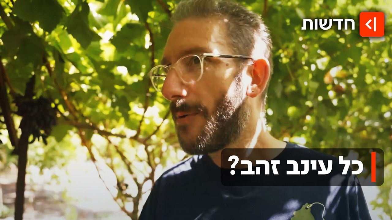 שאול אמסטרדמסקי בעקבות שחקן הענק שמייקר לנו את הענבים